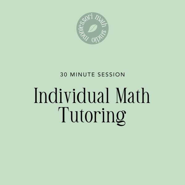 In Person Tutoring Session