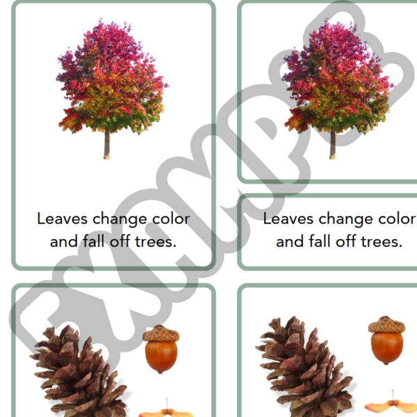 Signs of Autumn Comprehension Cards and Booklet - Image 6