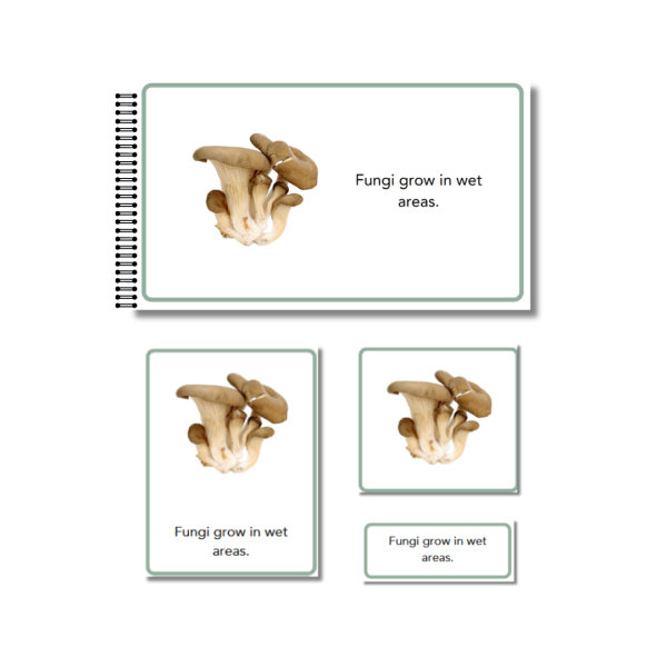 Signs of Autumn Comprehension Cards and Booklet