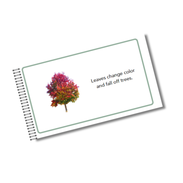 Signs of Autumn Comprehension Cards and Booklet - Image 3