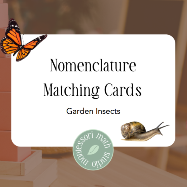 Garden Insect Cards