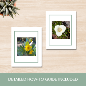 Edible Plants of the Pacific Northwest Vocabulary Cards
