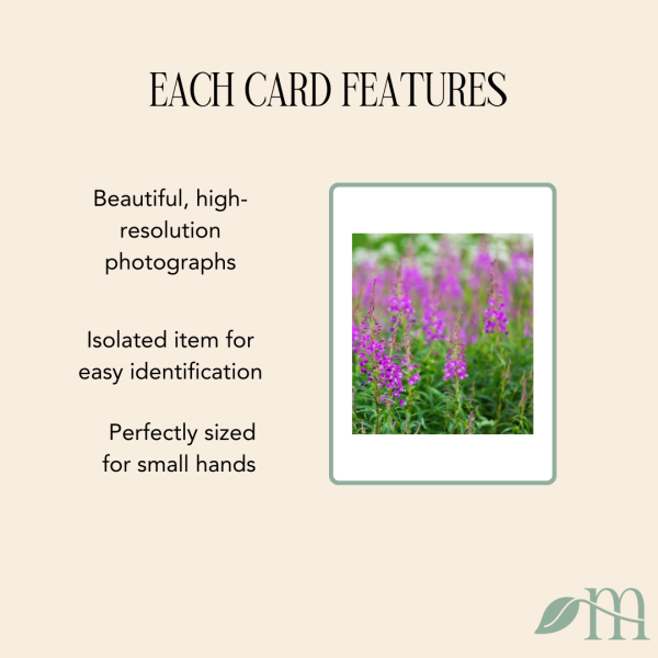 Edible Plants of the Pacific Northwest Matching Cards - Image 3