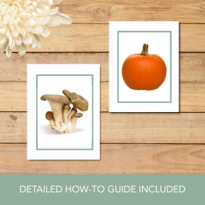 Fall Vocabulary Cards