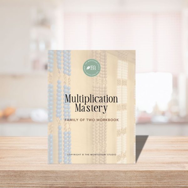 Multiplication Mastery Workbook