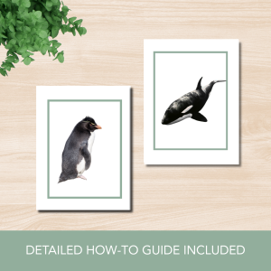 Animals of Antarctica Vocabulary Cards