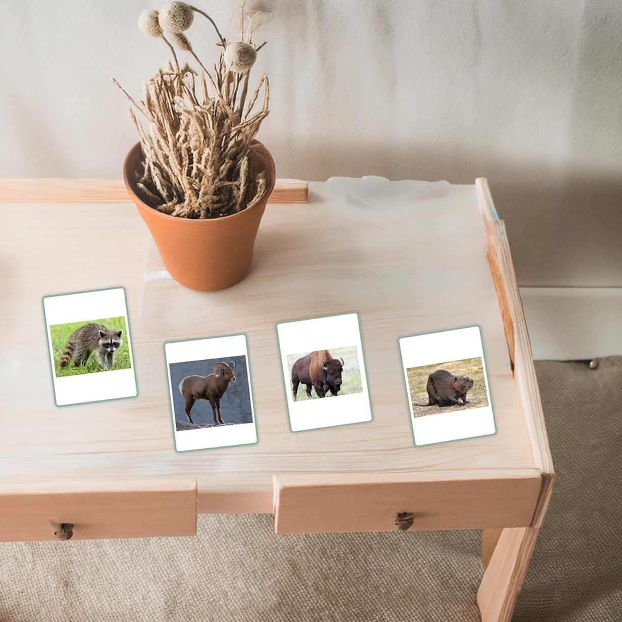 montessori-printables-for-kids
