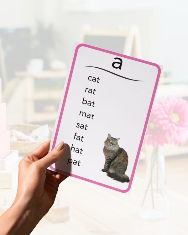 Montessori Short Vowel Phonics Cards with Real Images - Image 2