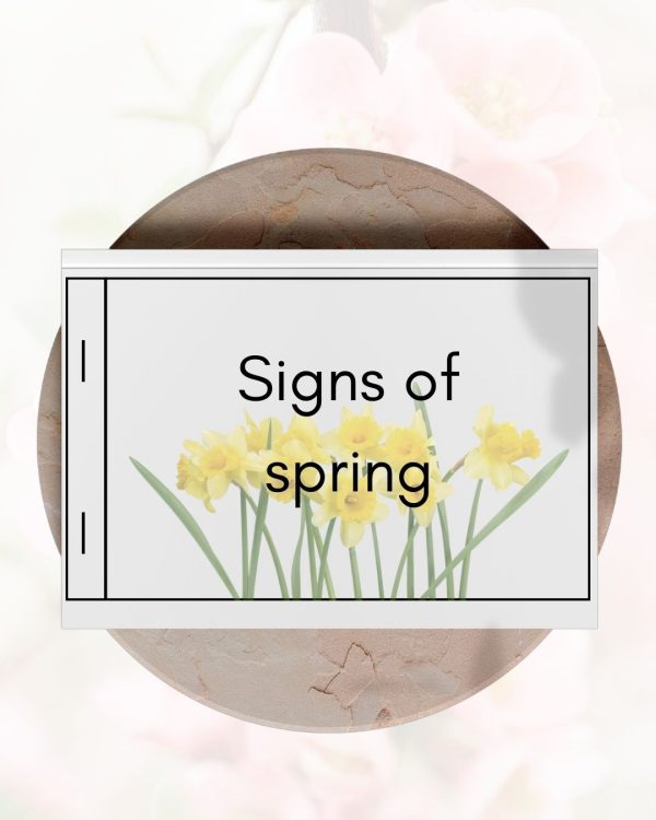 Signs of Spring: Montessori Reading Booklet for Early Readers - Image 2