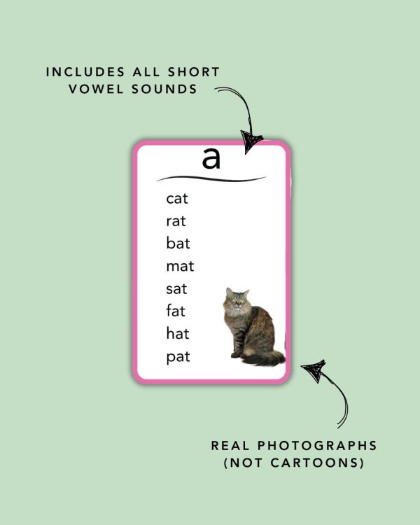 Montessori Short Vowel Phonics Cards with Real Images - Image 3