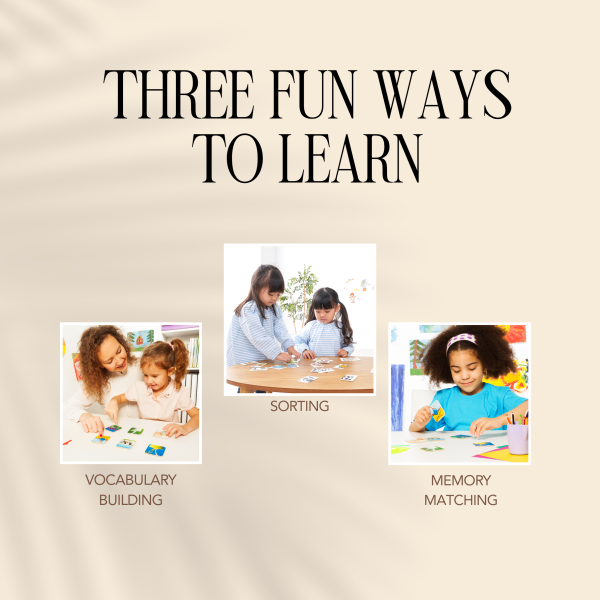 Garden tool matching cards way to play