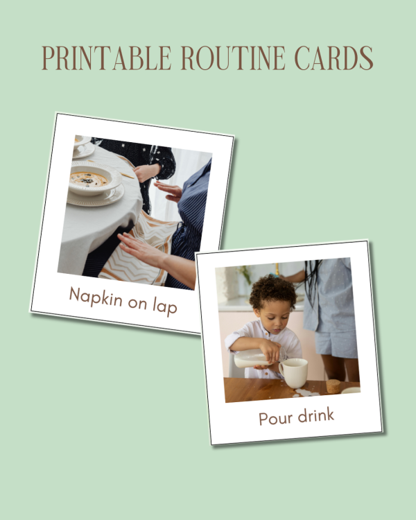 mealtime independence routine cards